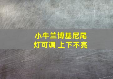 小牛兰博基尼尾灯可调 上下不亮